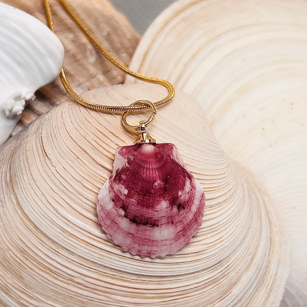 Clamshell pendant necklace